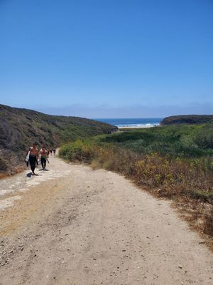 Four Mile Beach by null