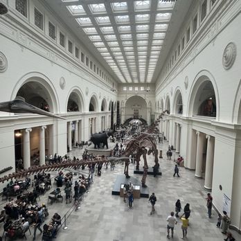 Field Museum - The Field Museum entry hall - Museums Near Me - Chicago, Illinois Field Museum - The Field Museum entry hall - Museums Near Me - Chicago, Illinois