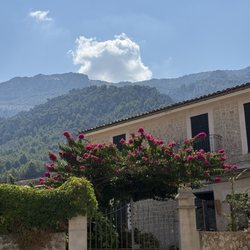 Sóller - 8.14.2025