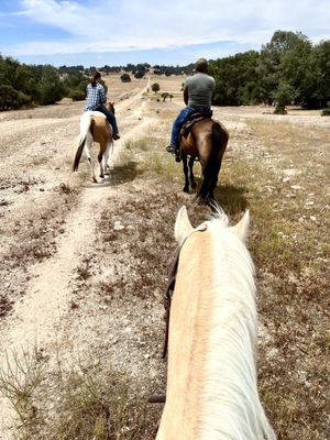 4 Horse Ranch by null