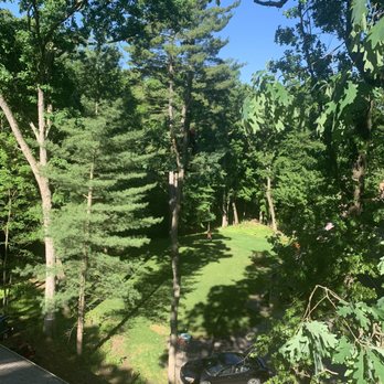Allied Tree Service - Tree Services Near Me - Comstock Park, Michigan Allied Tree Service - Tree Services Near Me - Comstock Park, Michigan