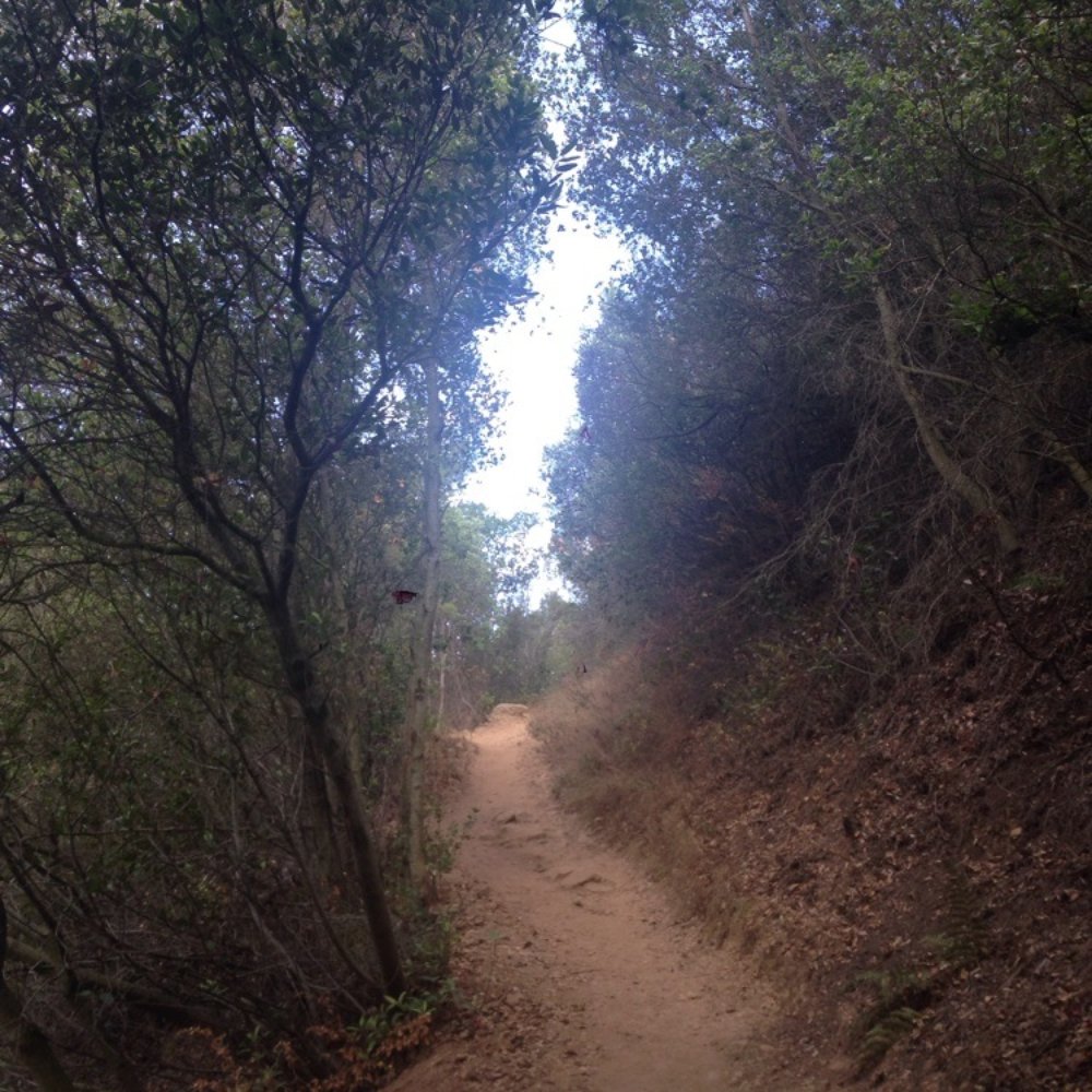 Cold Spring Trail - Hiking Near Me - Santa Barbara, California Cold Spring Trail - Hiking Near Me - Santa Barbara, California