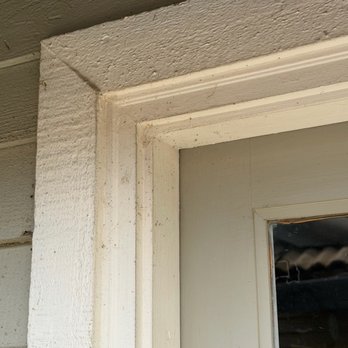EcoGuard Pest Management - Types of annoying webs s we were experiencing - Pest Control Near Me - Folsom, California