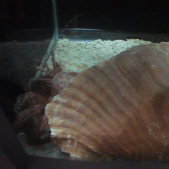 Atlantic City Aquarium - Aquariums Near Me - Atlantic City, New Jersey