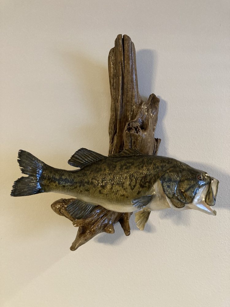 Final Pose Taxidermy - taxidermy in Mims, FL