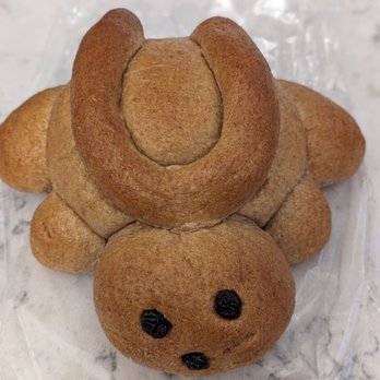 Great Harvest Bread Company - Honey bunny. - Bakeries Near Me - Minneapolis, Minnesota Great Harvest Bread Company - Honey bunny. - Bakeries Near Me - Minneapolis, Minnesota