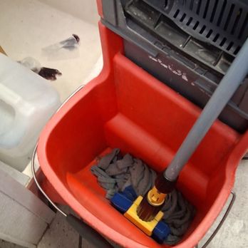 Taco Bell - Mop left down in standing water overnight.violiates Taco Bell food safety guidelines. - Tacos Near Me - Albert Lea, Minnesota