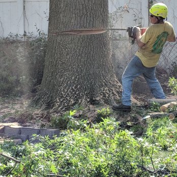 Cousins Tree Services - Tree Services Near Me Cousins Tree Services - Tree Services Near Me