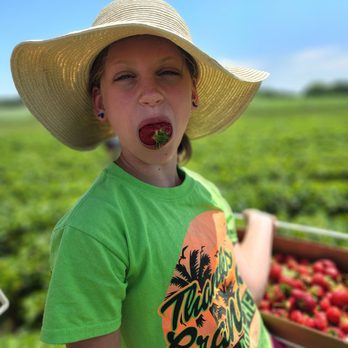 Skelly's Farm Market - Fruits & Veggies Near Me - Janesville, Wisconsin Skelly's Farm Market - Fruits & Veggies Near Me - Janesville, Wisconsin