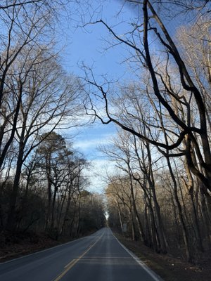 Yorktown Battlefield by null