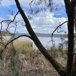 Narrabeen Lakes