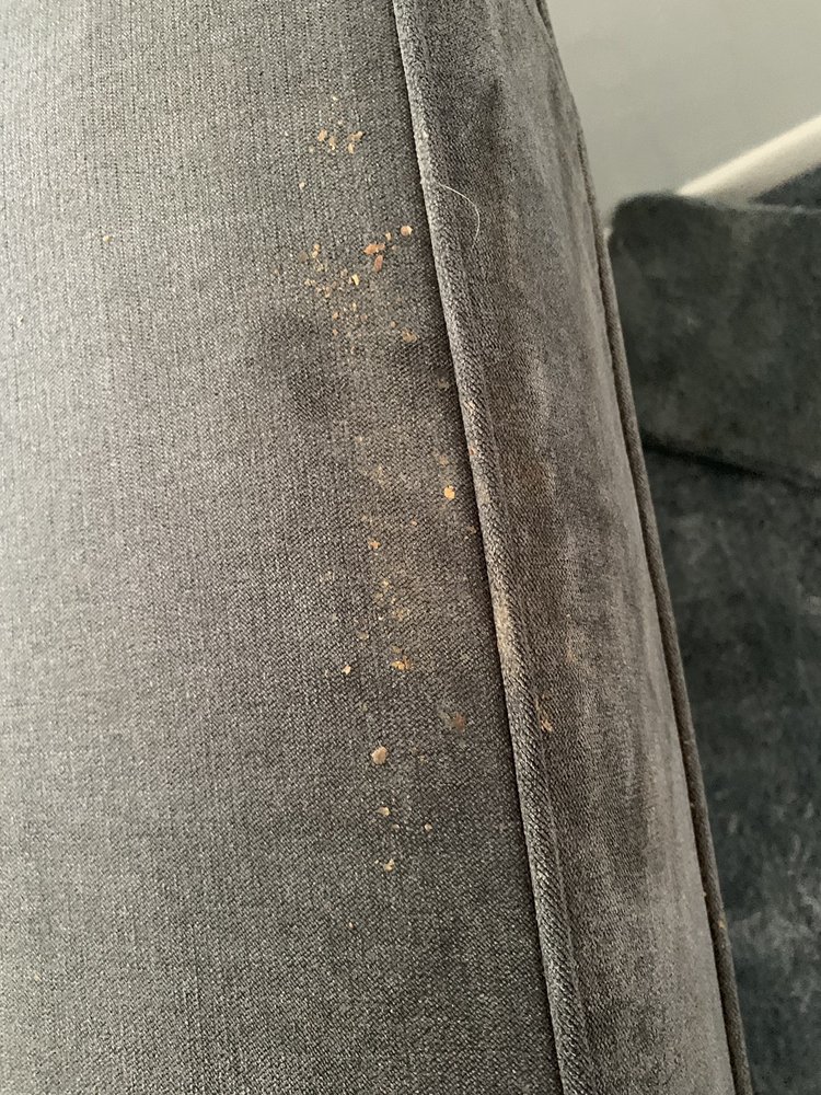 COIT CLEANING AND RESTORATION OF PITTSBURGH Updated May 2024 29