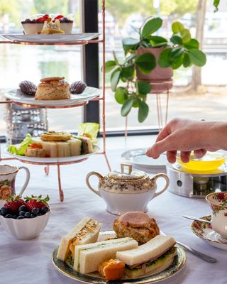 DOJA Tea Lounge by null