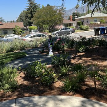 All About Garden - Gardeners Near Me