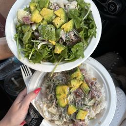 Ha'ena Poke Bowls Togo Ha'ena Poke Bowls Togo