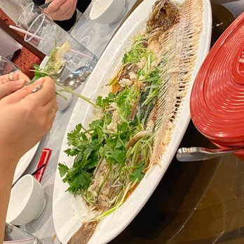 Fung's Kitchen - Steamed fish - Dim Sum Near Me - Houston, Texas