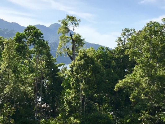 The Andaman, a Luxury Collection Resort, Langkawi by null