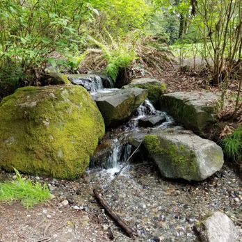 Kobayashi Park - A small waterfall at Kobayashi Park. Love it! - Parks Near Me - University Place, Washington
