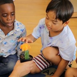Leap & Bound Academy