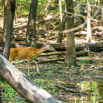 Oxley Nature Center - Parks Near Me - Tulsa, Oklahoma Oxley Nature Center - Parks Near Me - Tulsa, Oklahoma