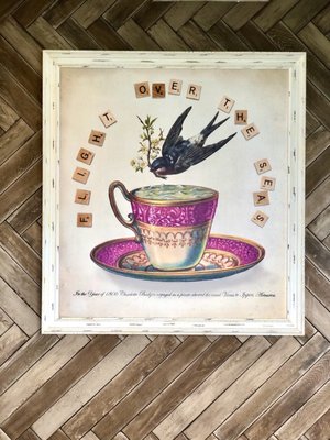 Charlotte's Kitchen by null