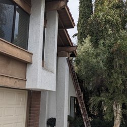 Bee Gone Bee Removal Service