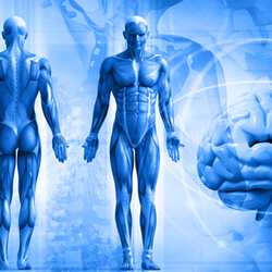 Health & Energy Acupuncture