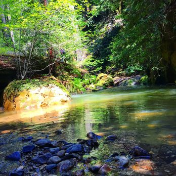 Big Basin Redwoods State Park - Parks Near Me - Boulder Creek, California