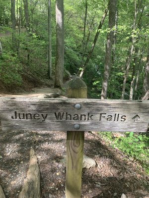 Deep Creek Trail Trailhead by null