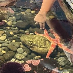 Feiro Marine Life Center