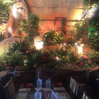 Rainforest Cafe - Our seating - Cafes Near Me - Niagara Falls, New York Rainforest Cafe - Our seating - Cafes Near Me - Niagara Falls, New York