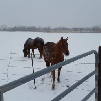 Black Mustang Ranch - Snowy day at ranch - Horseback Riding Near Me - Pilot Point, Texas