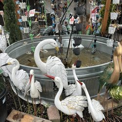 Newcastle Fruit & Produce - If I had a yard.