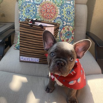 Newport Pet Clinic - Maverick and his care package - Veterinarians Near Me - Tustin, California