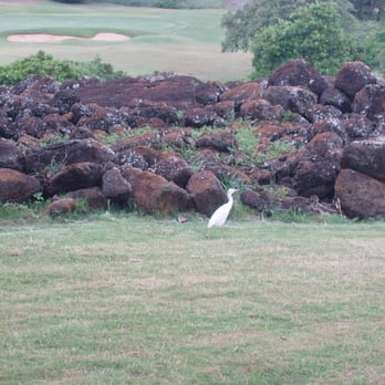 Poipu Bay Golf Course - Even More Course - Golf Near Me - Koloa, Hawaii Poipu Bay Golf Course - Even More Course - Golf Near Me - Koloa, Hawaii