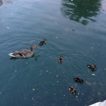 Grotto - Mama and babies - Landmarks & Historical Buildings Near Me - San Antonio, Texas