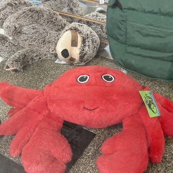 Furry Paws - 04/01/23 - Pet Stores Near Me - New York, New York