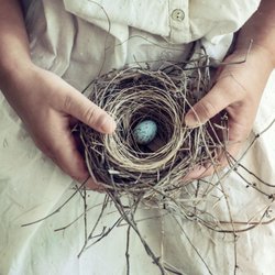 Nest Birth Services