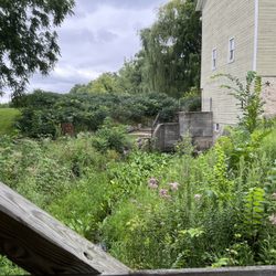 Beckman Mill