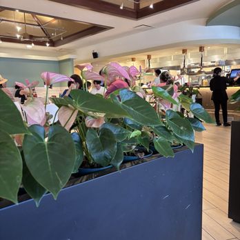 Liliha Bakery - Ala Moana - Inside - Breakfast & Brunch Near Me - Honolulu, Hawaii Liliha Bakery - Ala Moana - Inside - Breakfast & Brunch Near Me - Honolulu, Hawaii