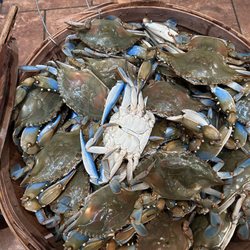 Phil's Live Crabs in Philadelphia gift card