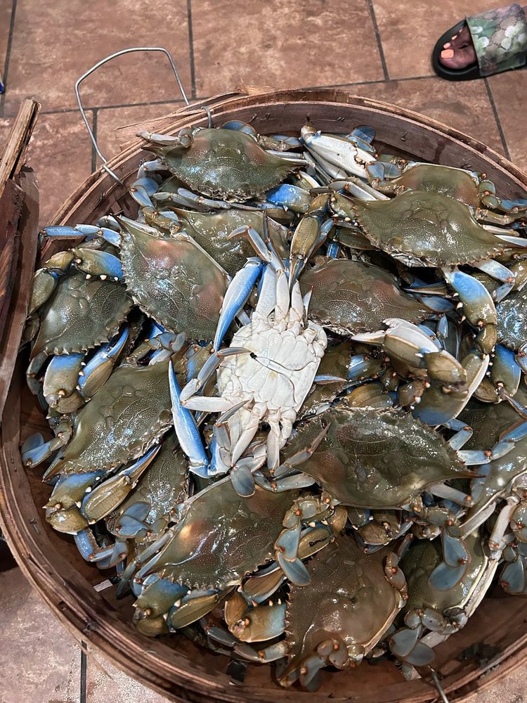 PHIL’S LIVE CRABS - Updated December 2025 - 14 Photos & 41 Reviews - 10 ...