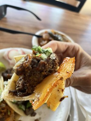 Lilly's Taqueria by null