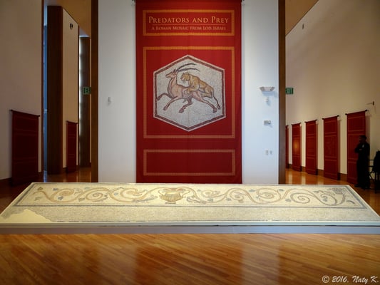 Patricia and Phillip Frost Art Museum by null