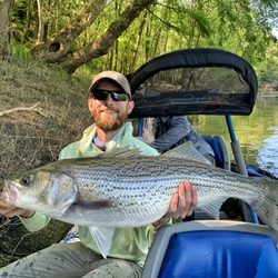 Tightlines Tennessee