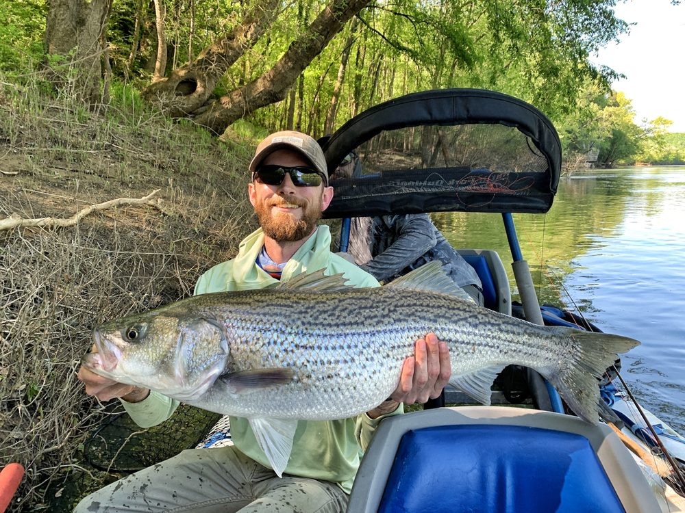 Tightlines Tennessee Logo
