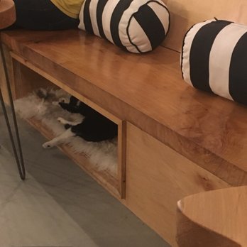NEKO: A Cat Cafe - Themed Cafes Near Me - Seattle, Washington NEKO: A Cat Cafe - Themed Cafes Near Me - Seattle, Washington