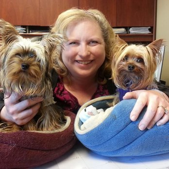 Tamara Sperry Insurance - These are our office watch dogs. Maggie is on the right and Max is on the left. We now have Molly (who isn't pictured) she's new. - Auto Insurance Near Me - Stanwood, Washington Tamara Sperry Insurance - These are our office watch dogs. Maggie is on the right and Max is on the left. We now have Molly (who isn't pictured) she's new. - Auto Insurance Near Me - Stanwood, Washington