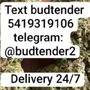 Quality Cannabis Delivery