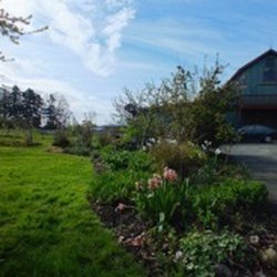 Sidney Community Music School - Look down the long driveway to the big green barn - you are in the right place